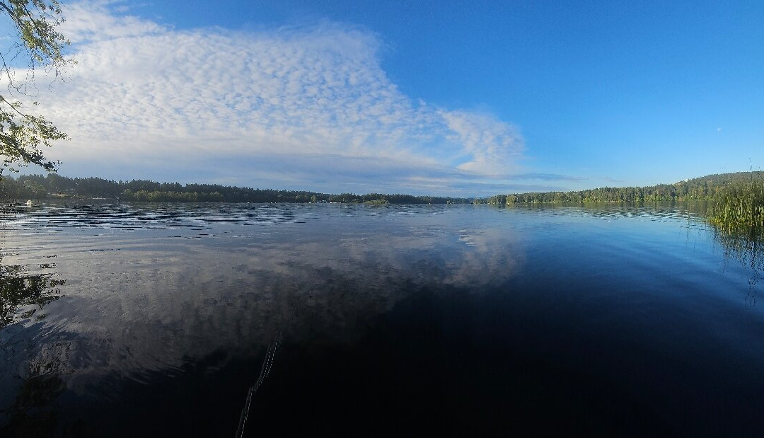 Elk/Beaver Lake Regional Park-中萨尼奇必去景点
