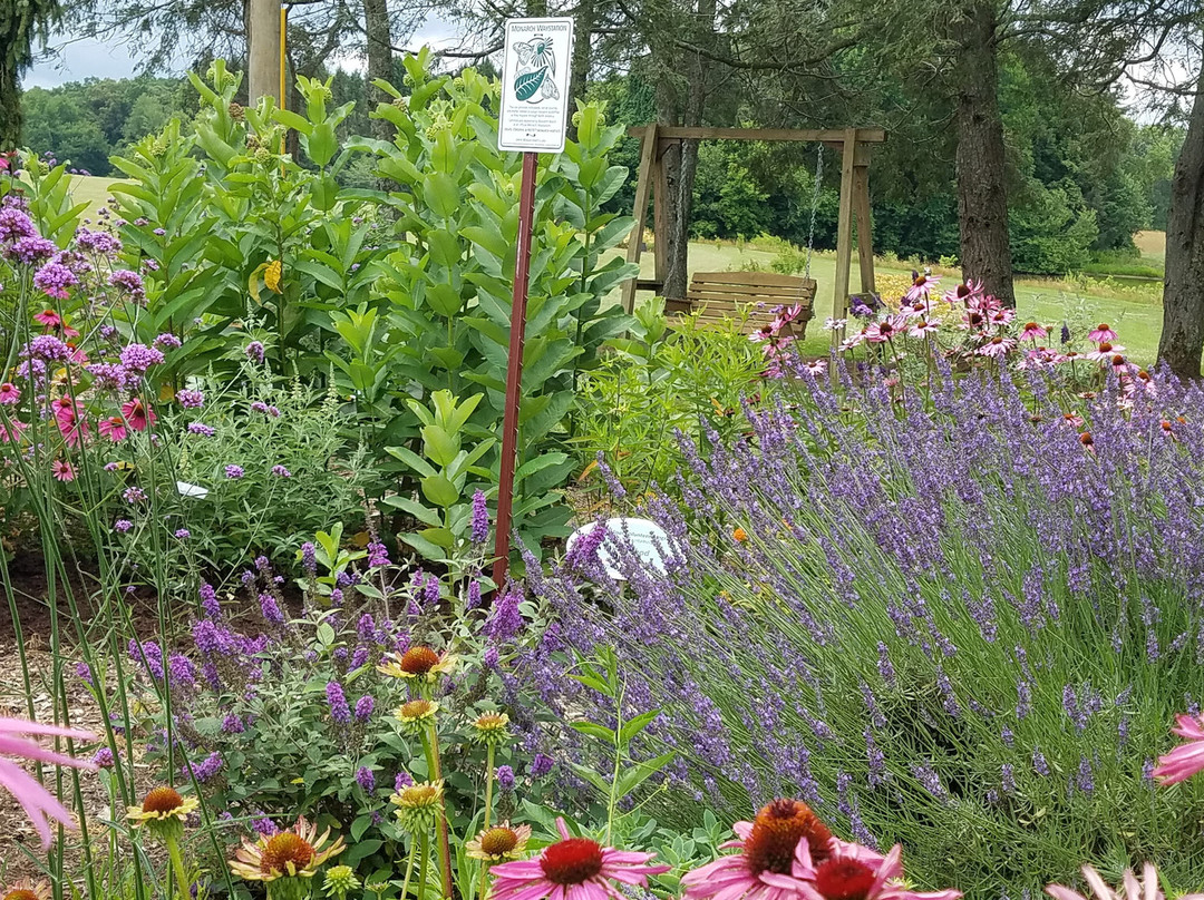 UT Gardens: Crossville, The Plateau Discovery Gardens-Crossville必去景点