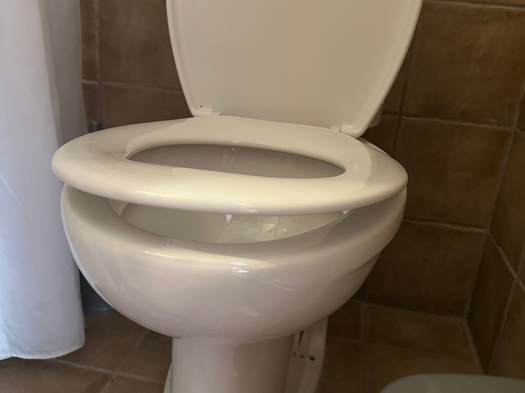 Michelangelo Resort主图