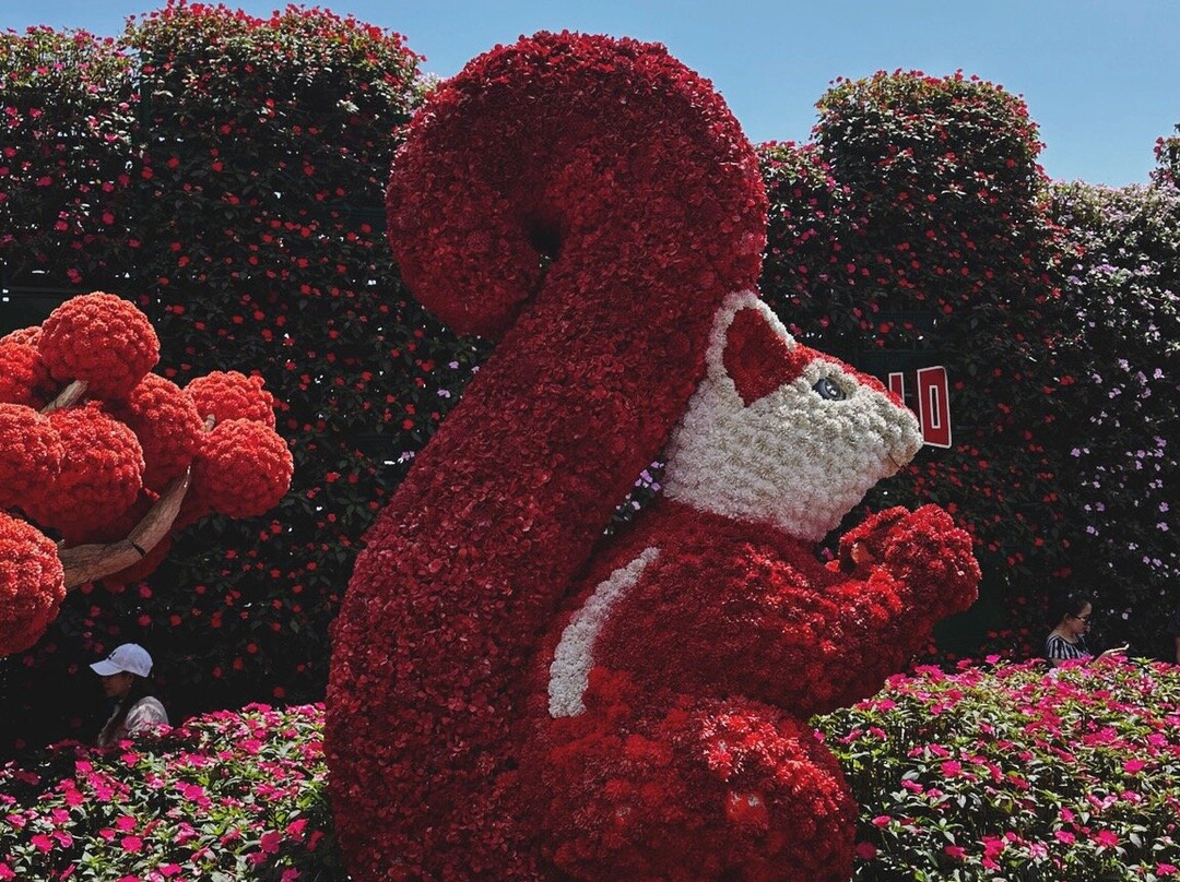 Bà Nà Hills-Hoa Phu必去景点