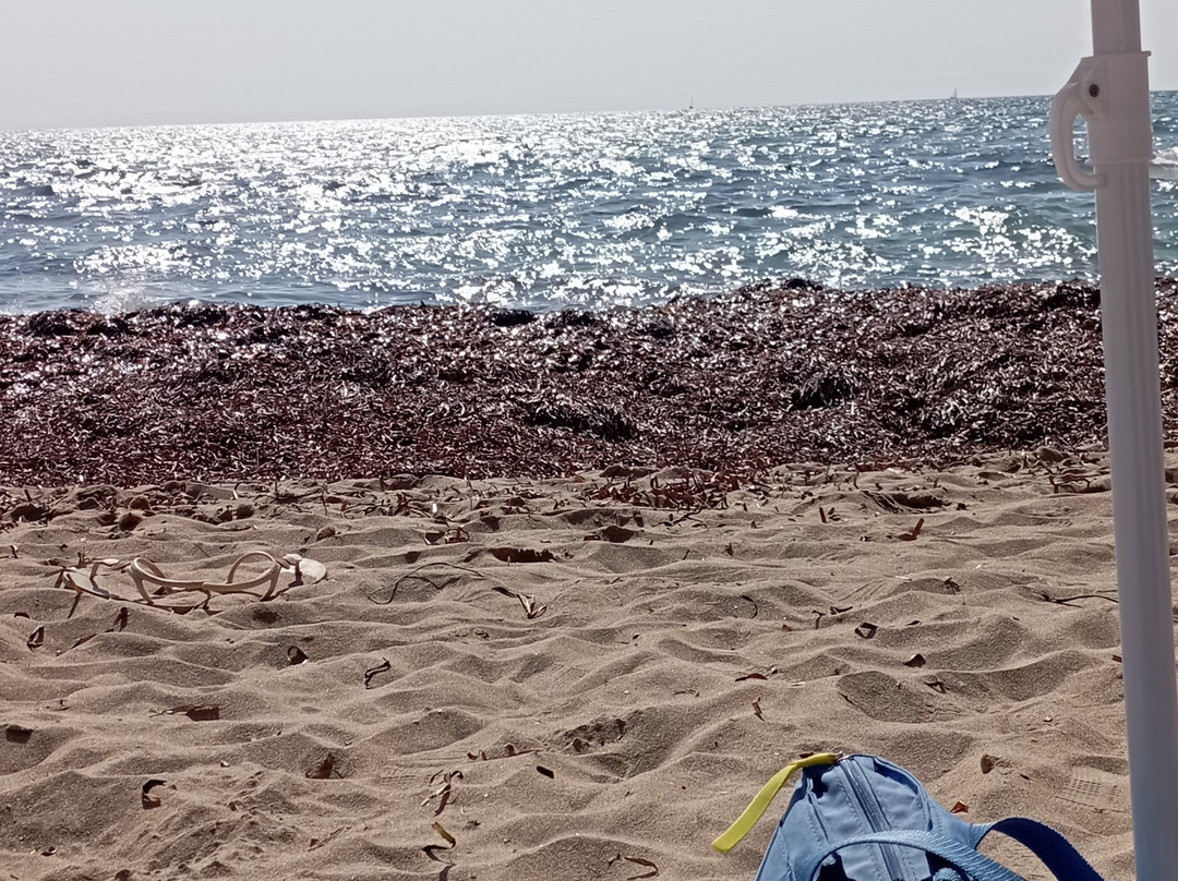 Marakaibbo Sun & Beach-马尔萨拉必去景点