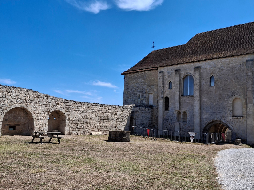 Chateau de Villebois-Lavalette-Villebois-Lavalette必去景点