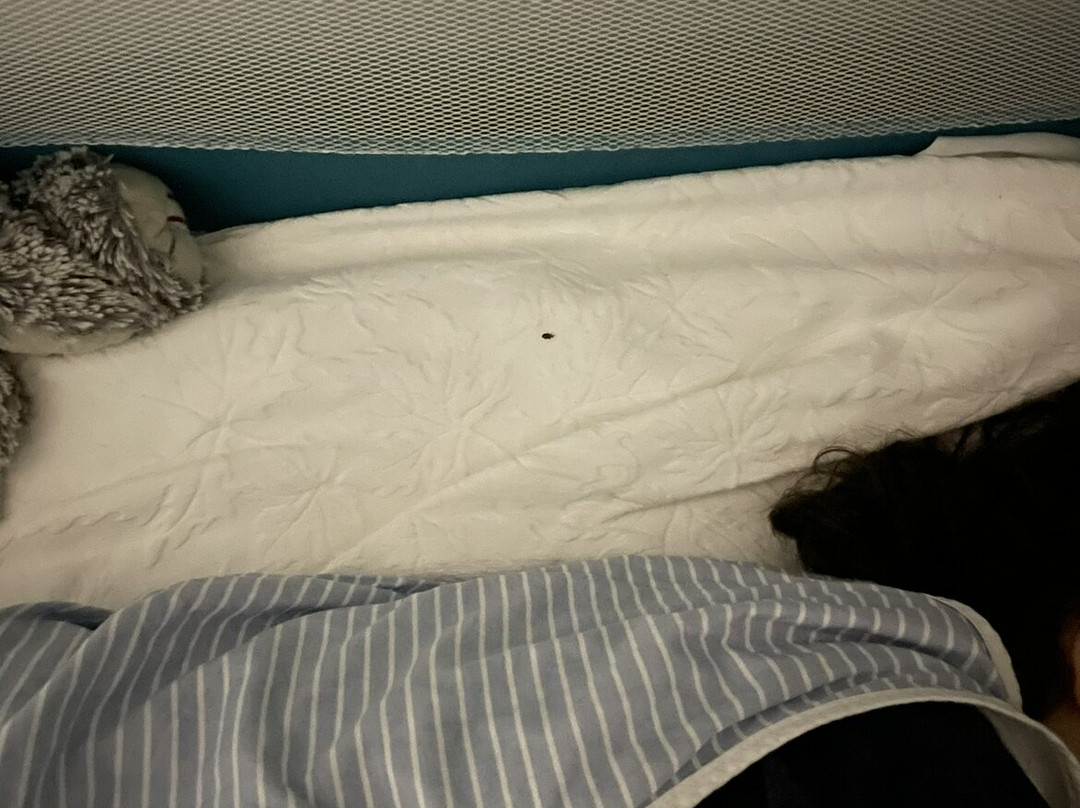 多帕克酒店主图