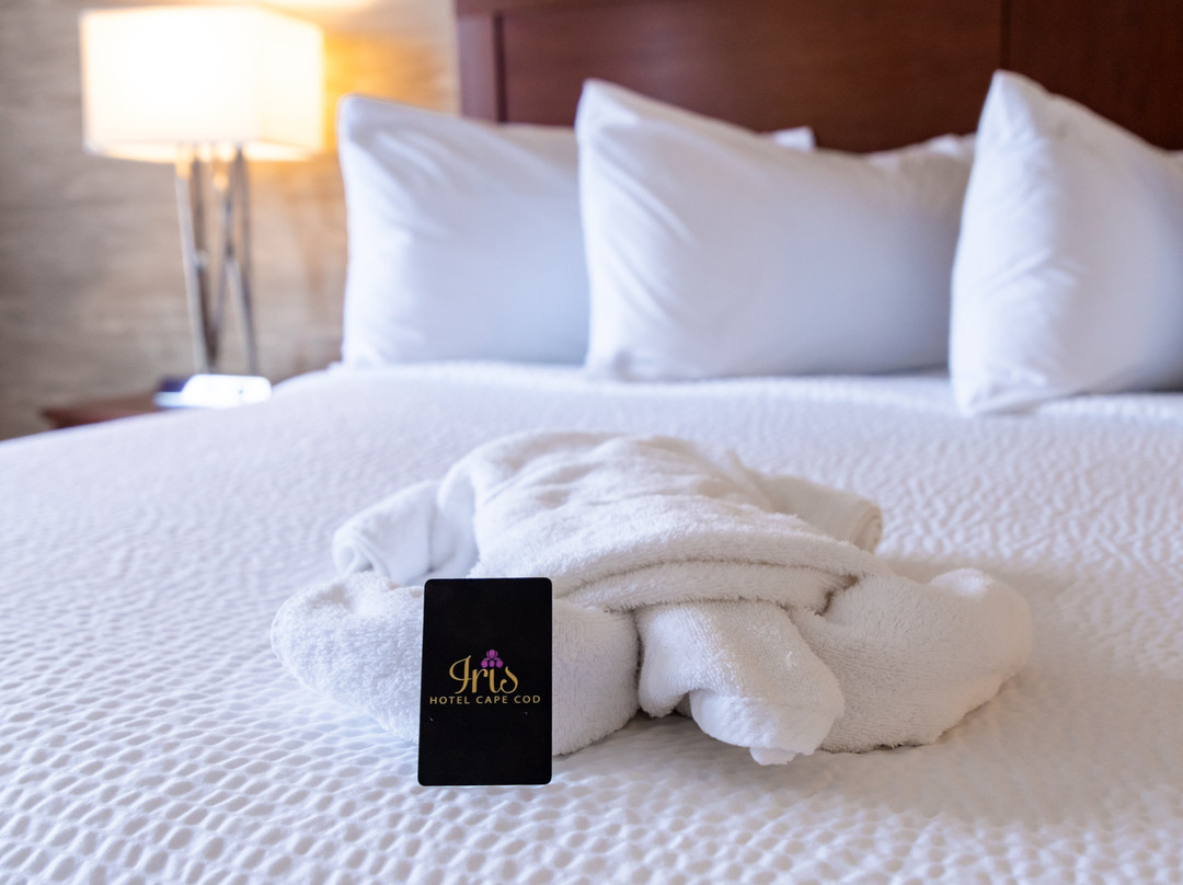 Iris Hotel-Cape Cod- Falmouth主图
