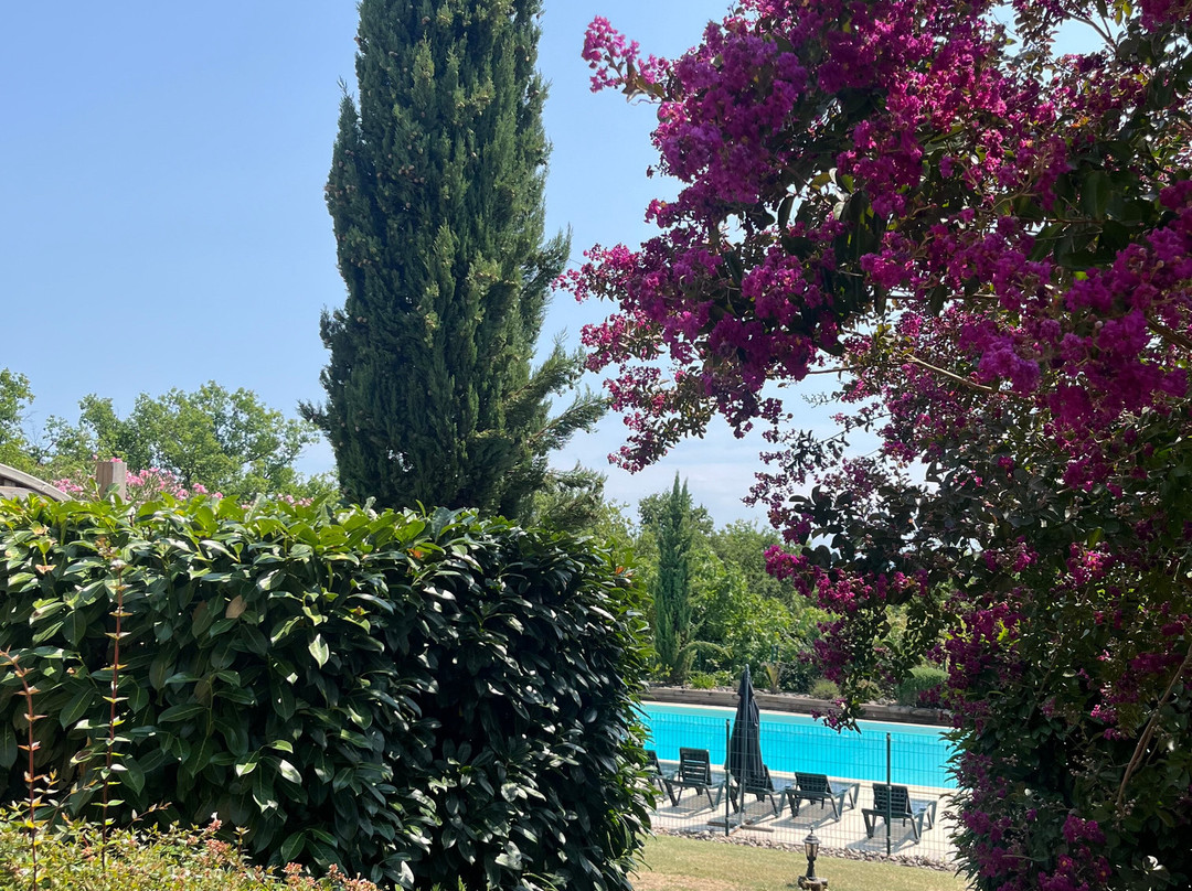 Hôtel-Restaurant Les Collines主图