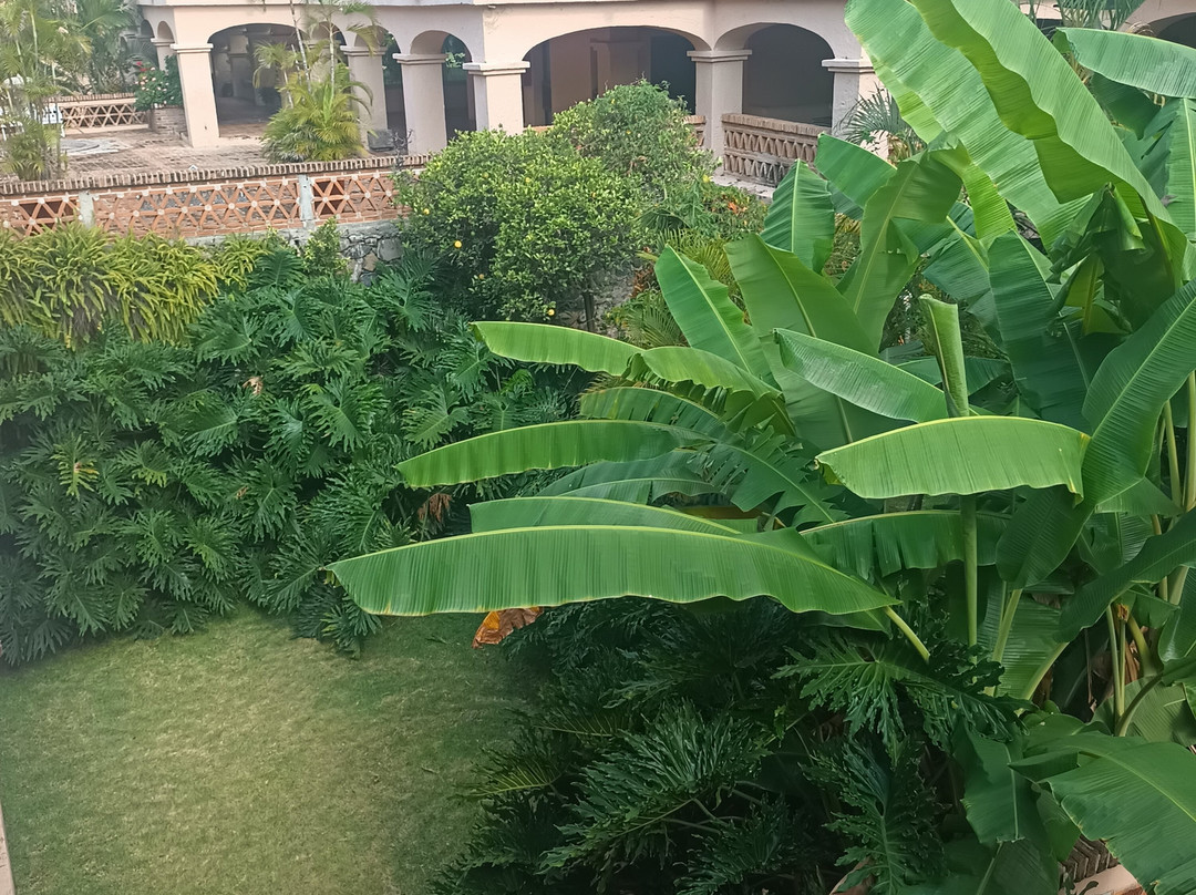 Hotel Danza Del Sol主图