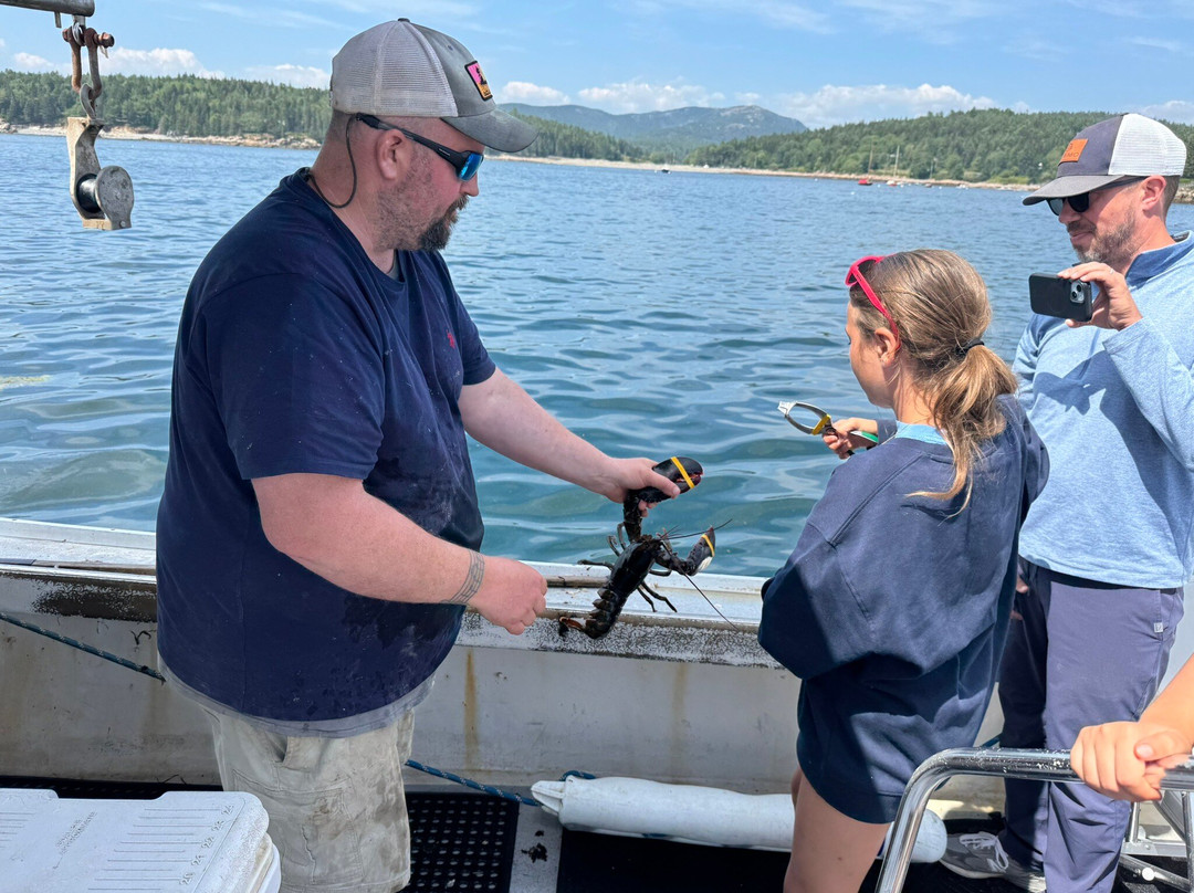 Bar Harbor Fishing Tours-山漠岛必去景点