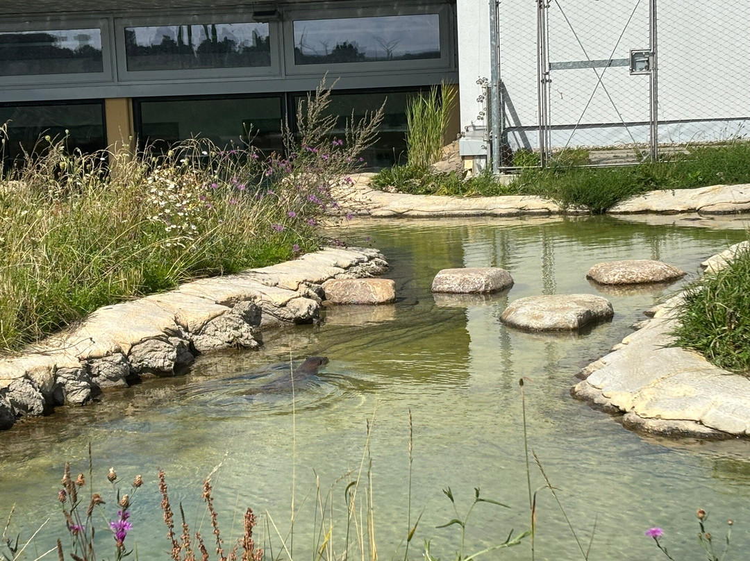 Multimar Wattforum-Toenning必去景点