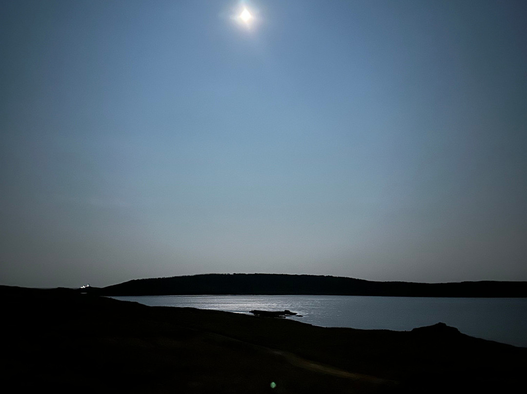 Sea of Whales Adventures-Trinity必去景点