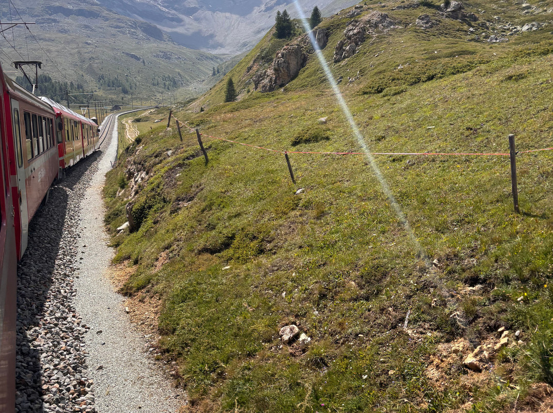 Leaning Tower-圣莫里茨必去景点