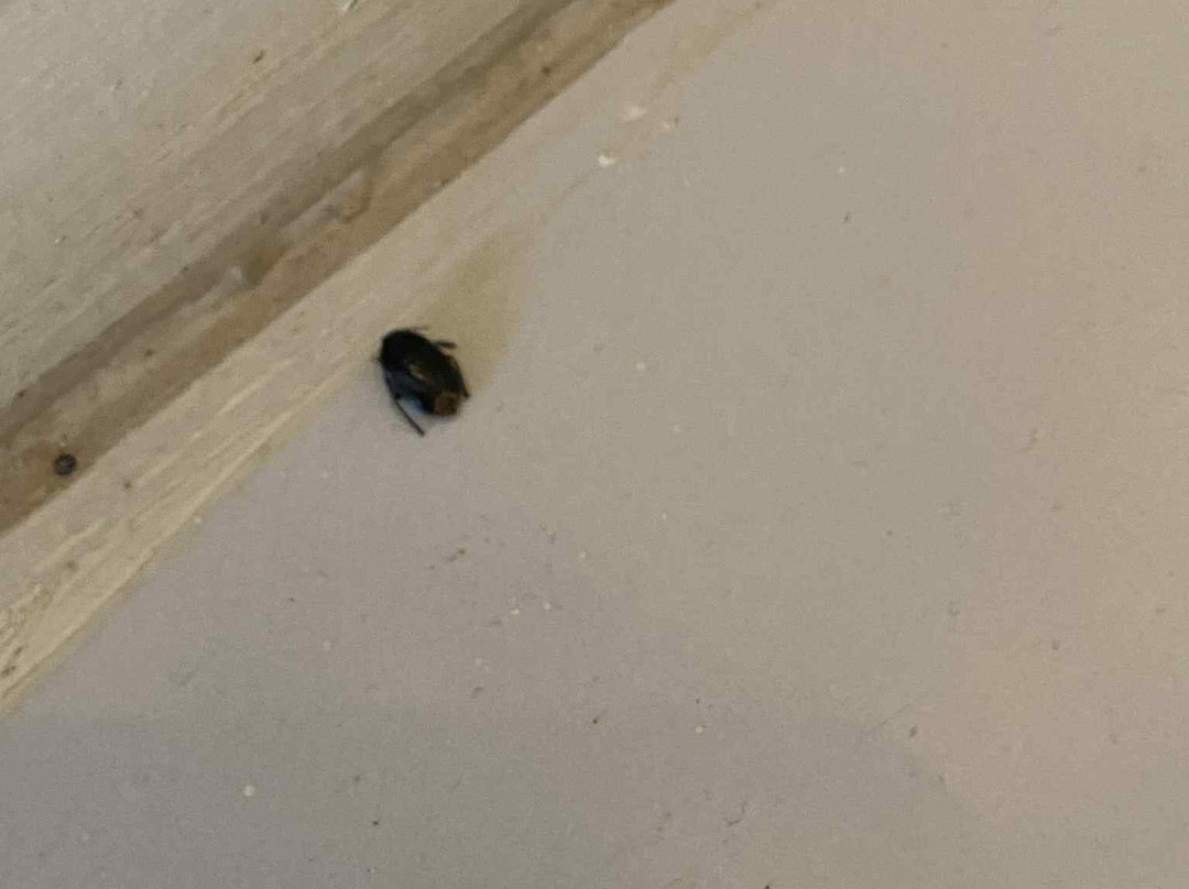 Erytha Hotel & Resort Chios主图