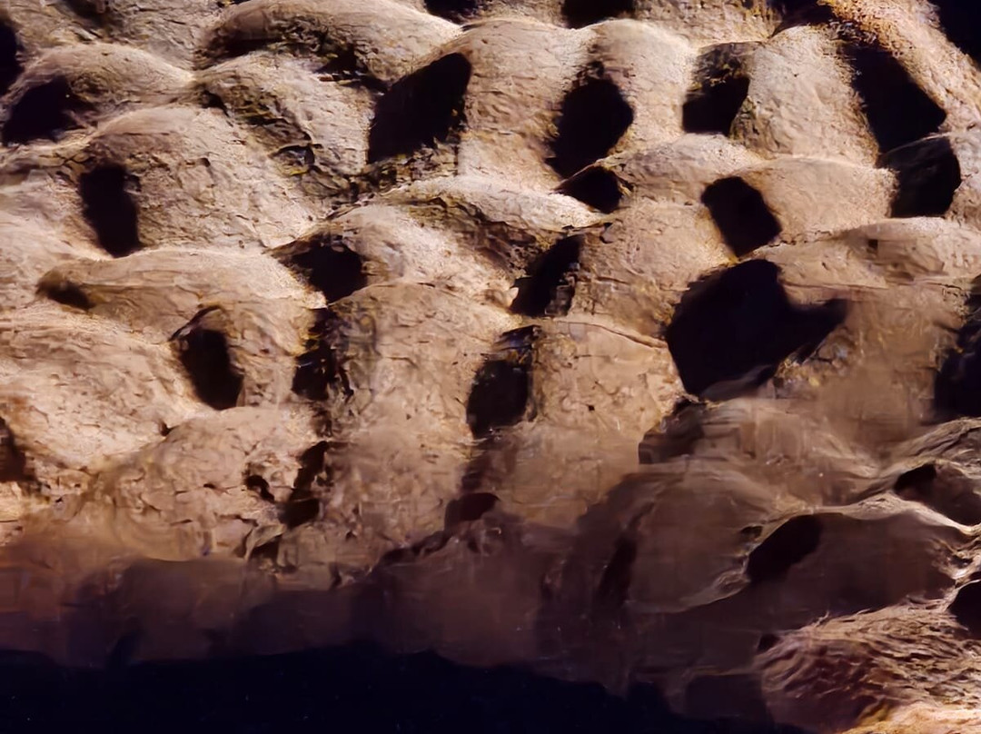 Grotte Saint-Marcel-Bidon必去景点