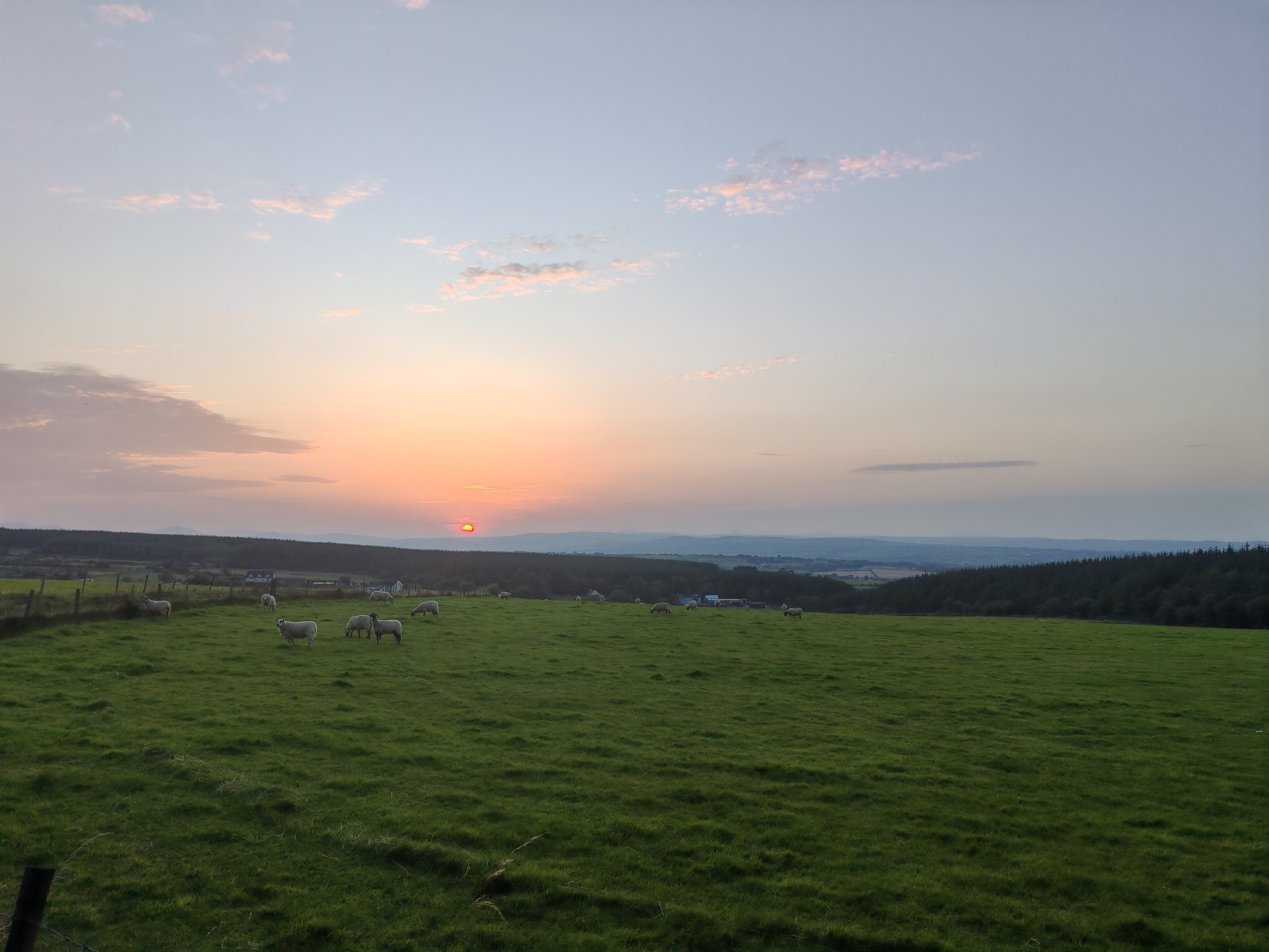 Ardgort House-官方