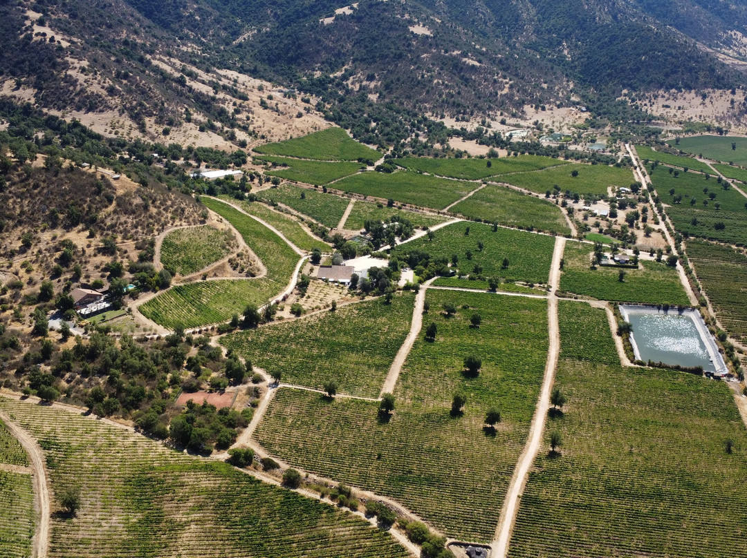 Viña Hacienda Araucano- François Lurton-Lolol必去景点