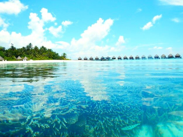 S&Y Tours and Travel-马累必去景点