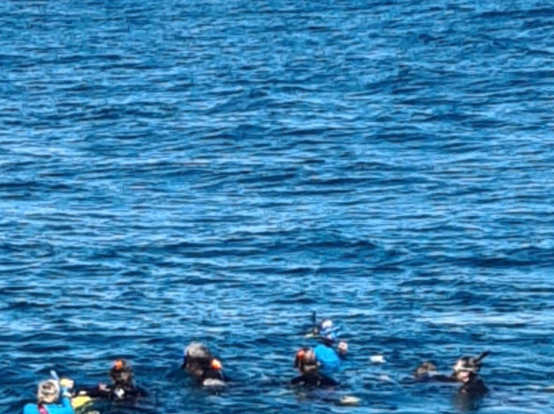 Ningaloo Marine Interactions-珊瑚湾必去景点