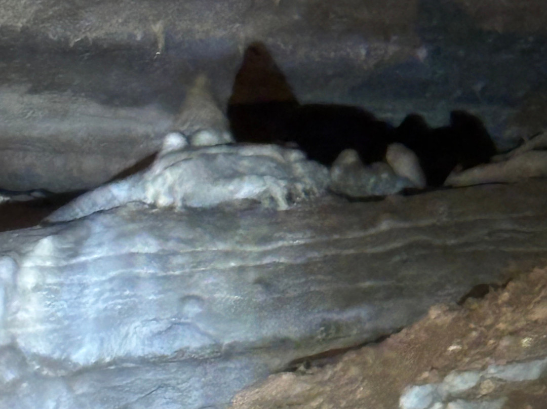 Old Spanish Treasure Cave-Sulphur Springs必去景点