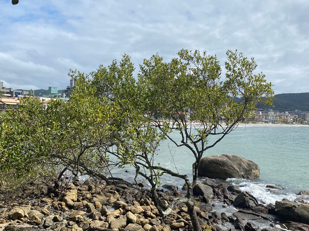 Ribeiro Beach-Bombinhas必去景点