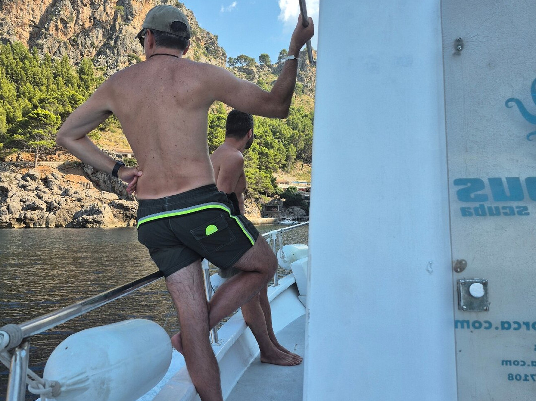 Octopus Mallorca-索列尔港必去景点