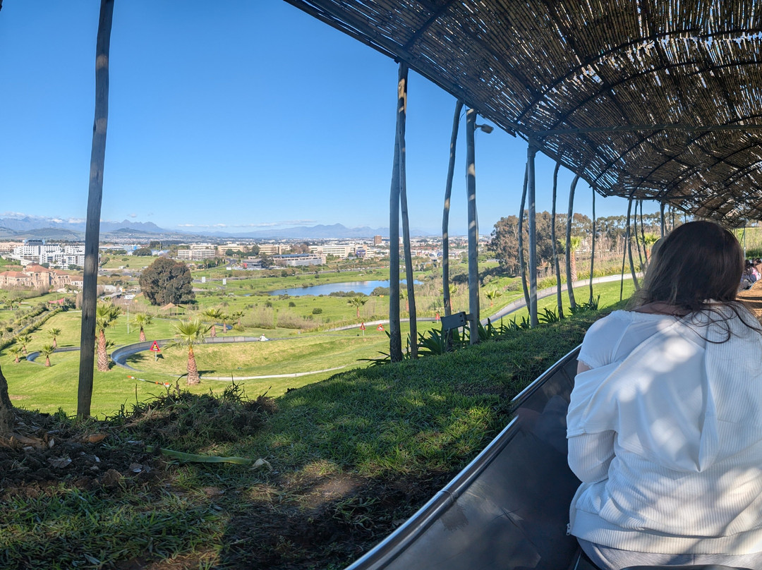 Cool Runnings-Bellville必去景点