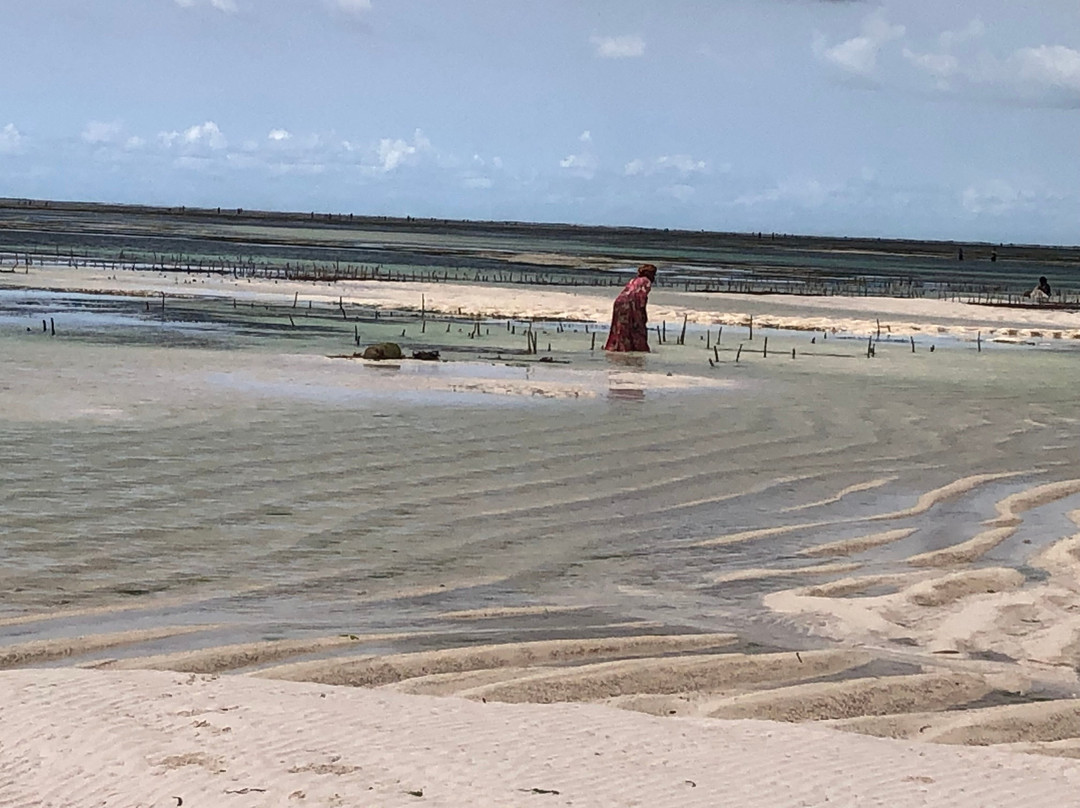 Pwani Mchangani Beach-Pwani Mchangani必去景点