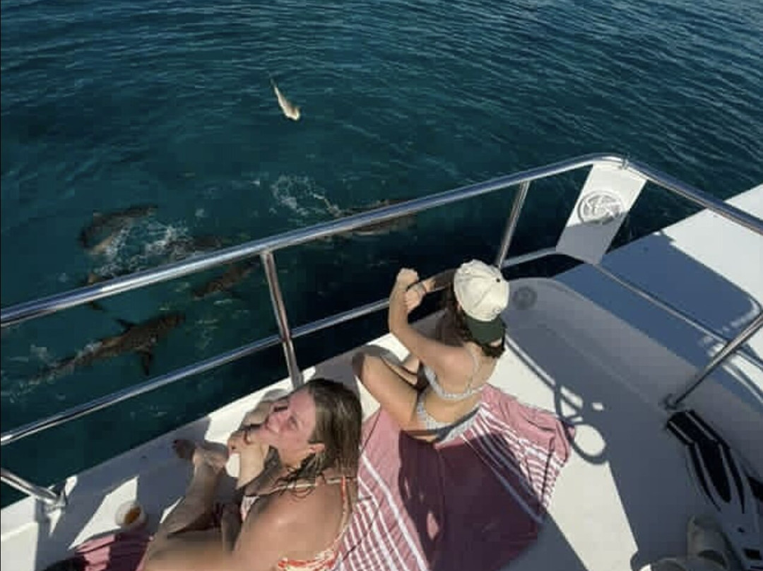 Neal Watson's Bimini Scuba Center-Alice Town必去景点