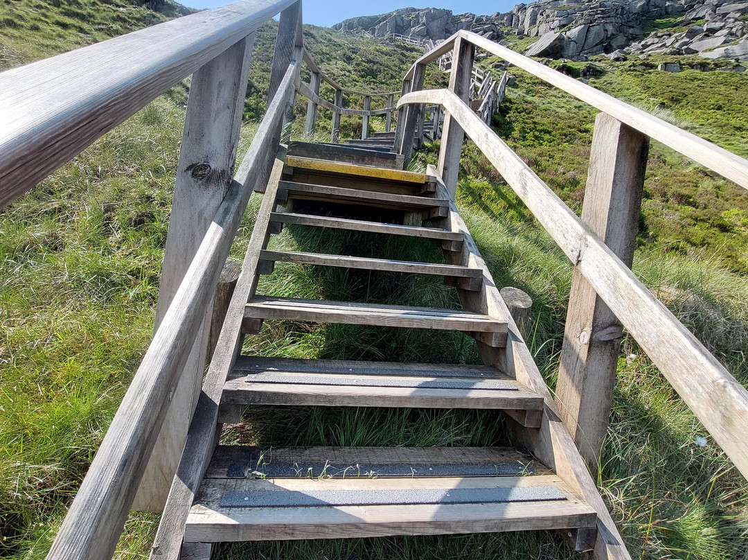 Cuilcagh Boardwalk Trail (Stairway to Heaven)-恩尼斯基林必去景点