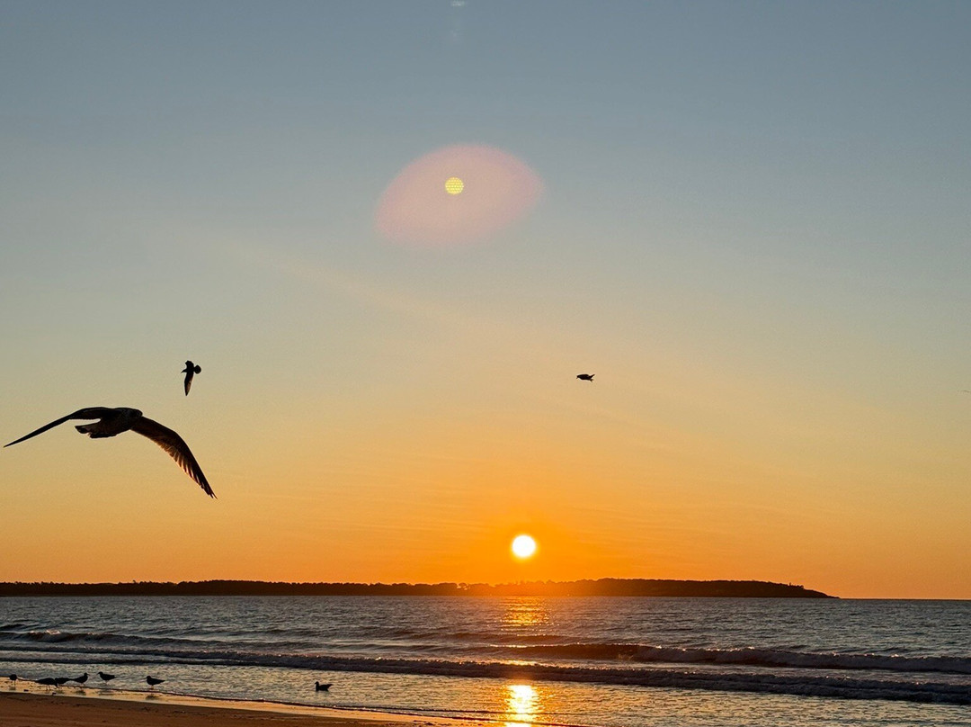 Moontide Motel, Cabins and Apartments主图
