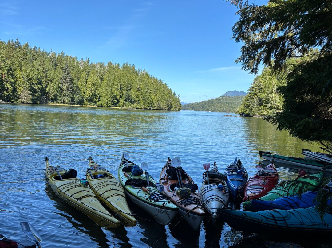Tofino Sea Kayaking Day Tours-托菲诺必去景点