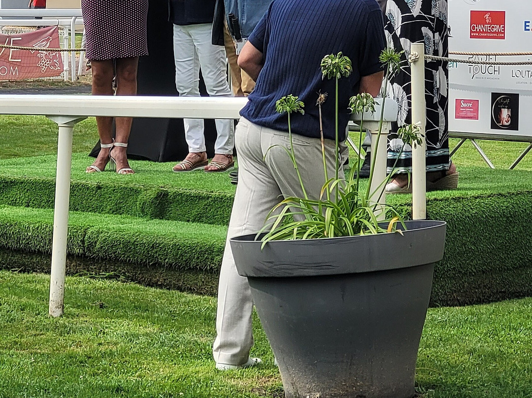 Hippodrome De La Teste-de-buch-拉泰斯特德比克必去景点