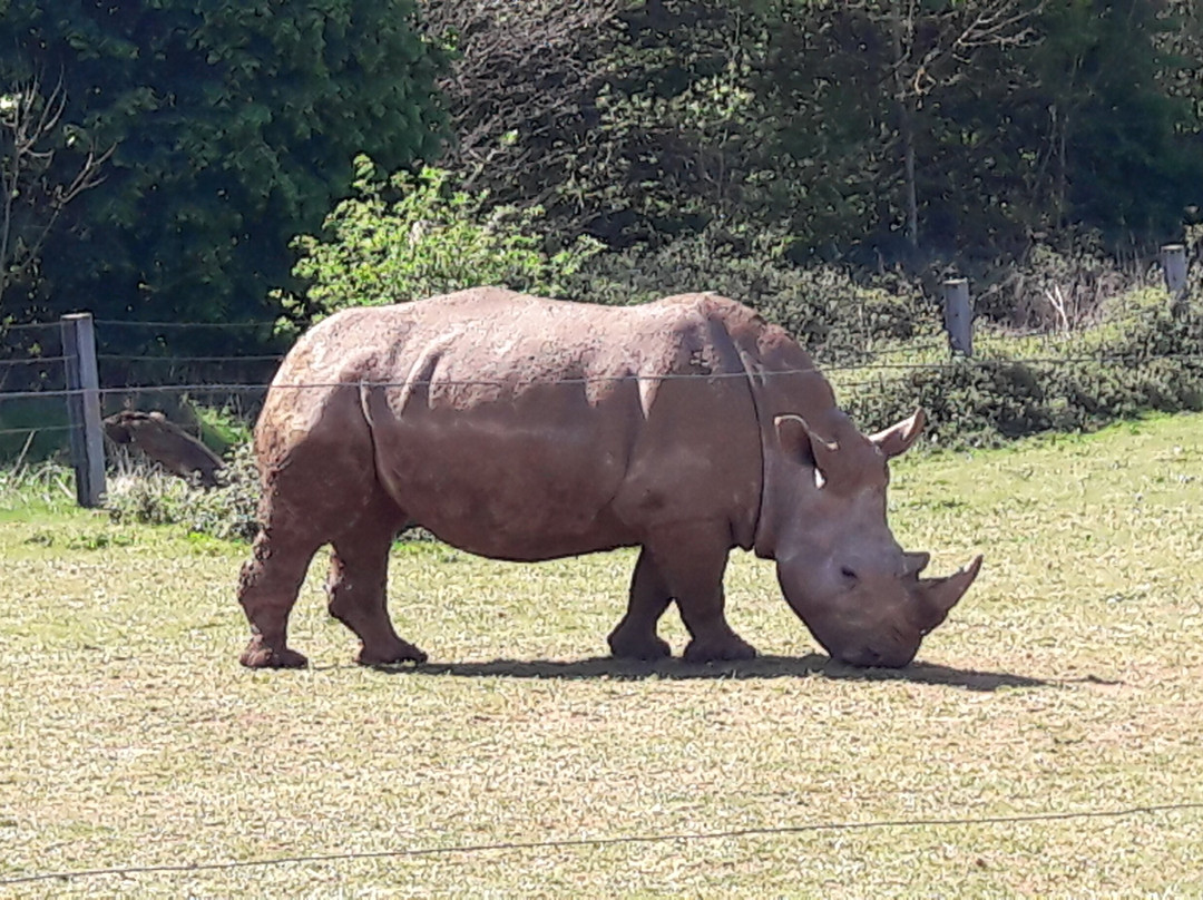 Longleat House-沃敏斯特必去景点