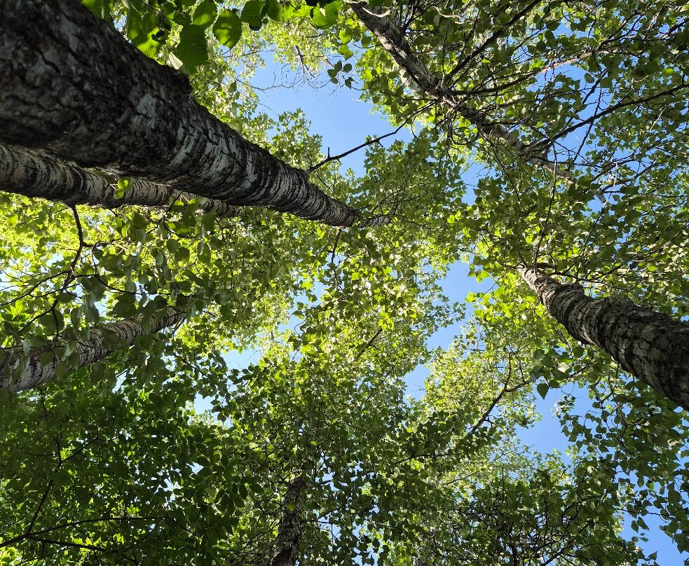 Rivers Provincial Park-Rivers必去景点