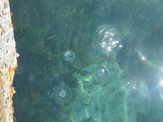 Viranbag Plaji-布尤卡达必去景点