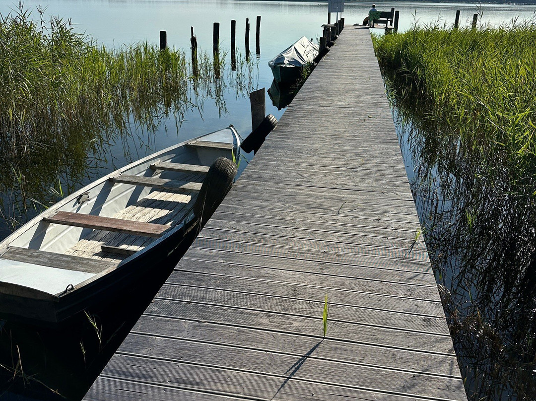 Landhotel Rosenhof主图