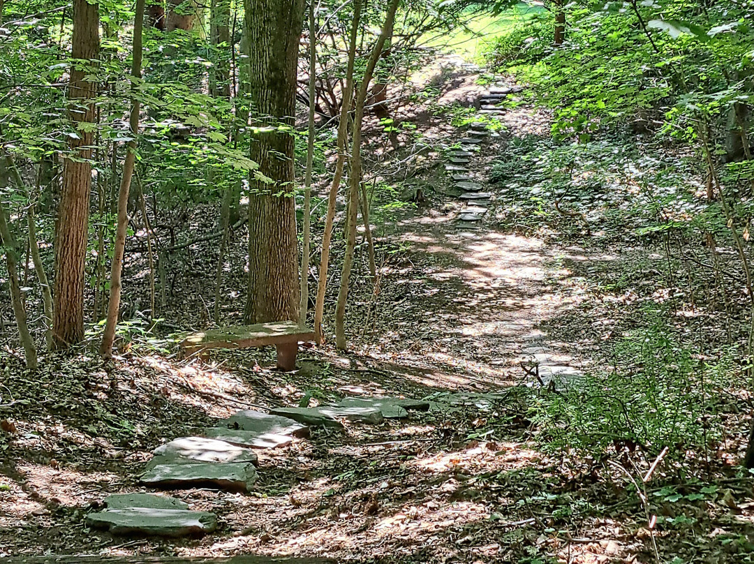 Wickham Park-曼彻斯特必去景点