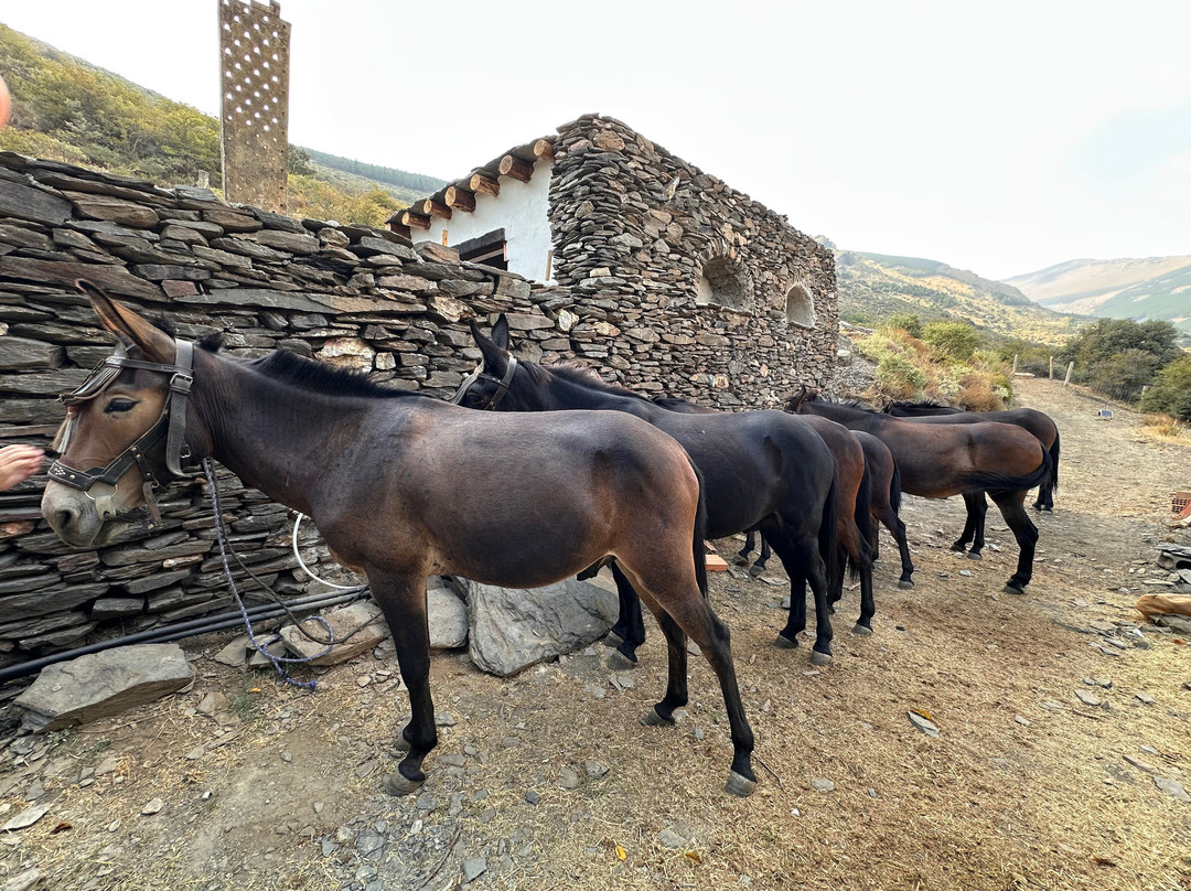 Equi-libre Sierra Nevada-Laroles必去景点