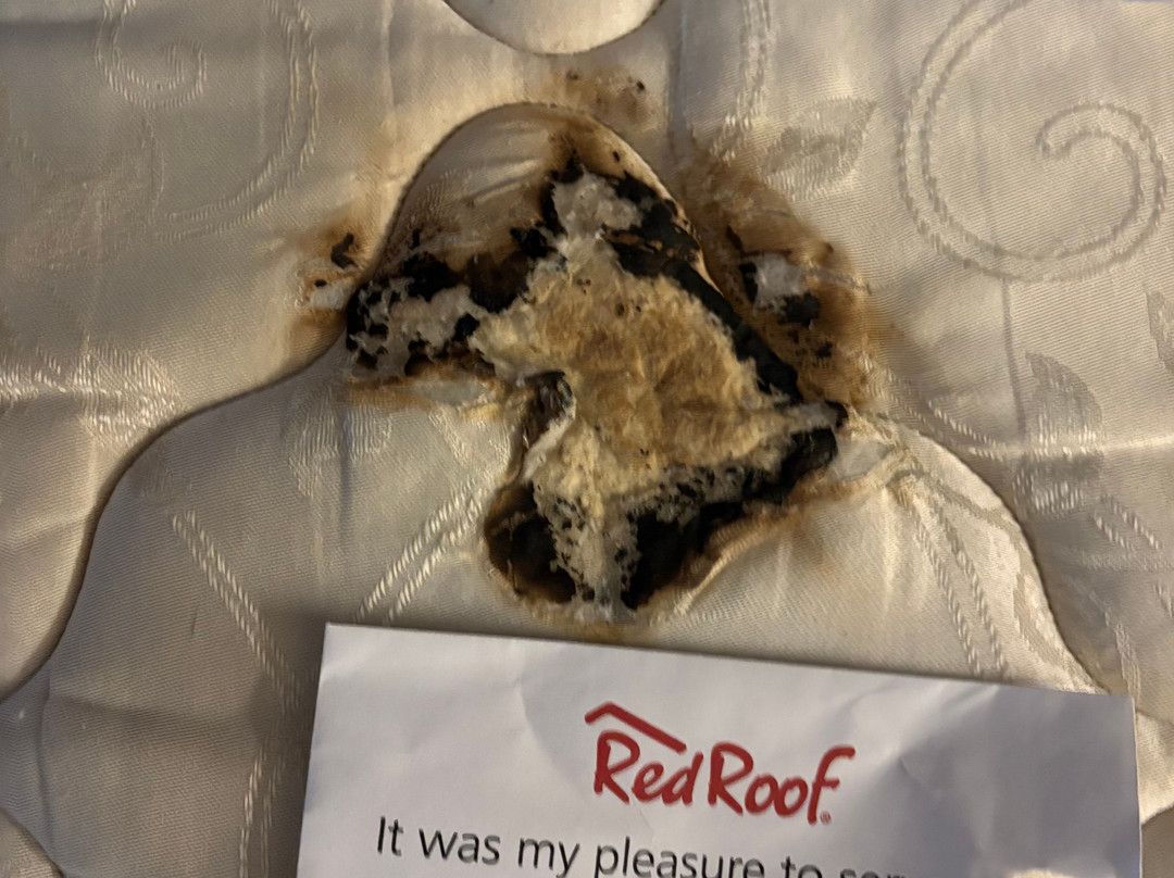 Red Roof Inn Detroit - Roseville/ St Clair Shores主图