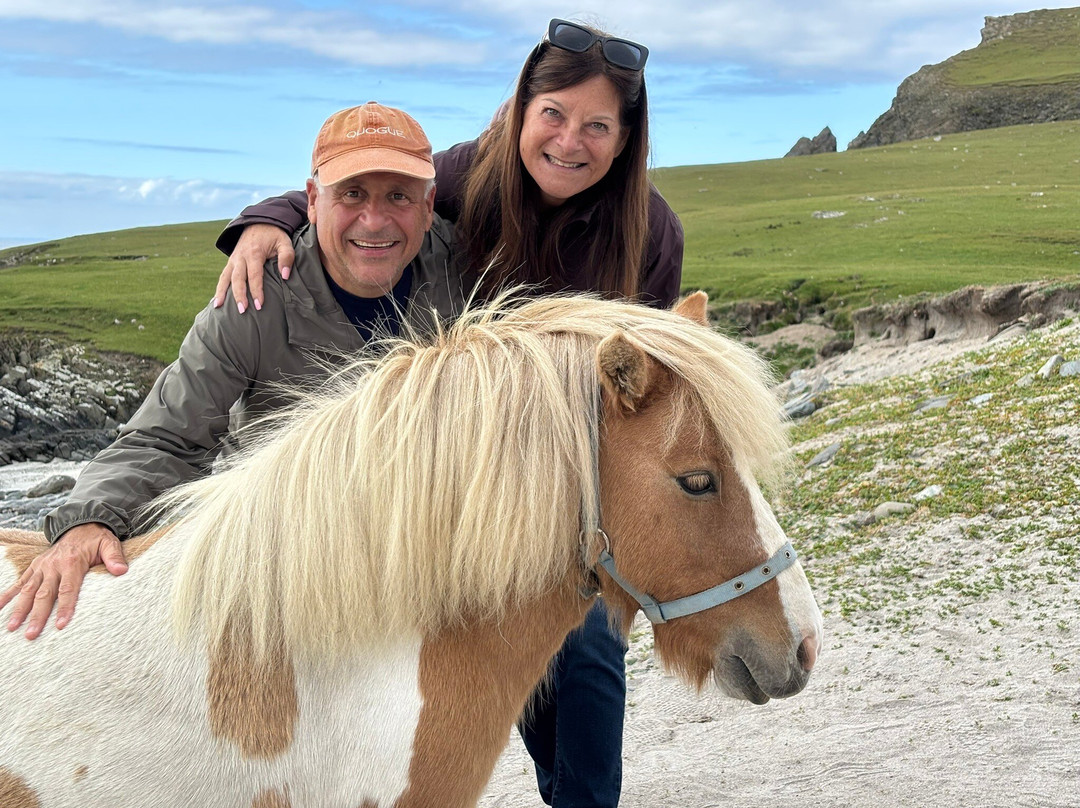 The Shetland Pony Experience-Papil必去景点
