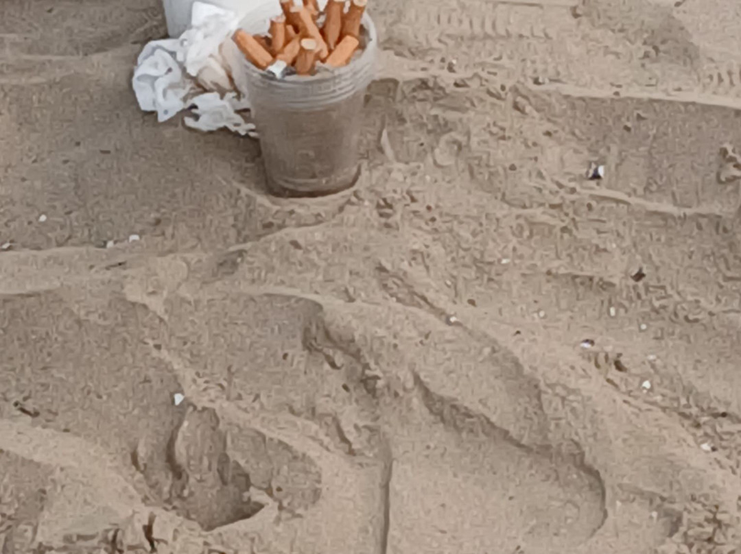 Lido Aurora-Siponto必去景点