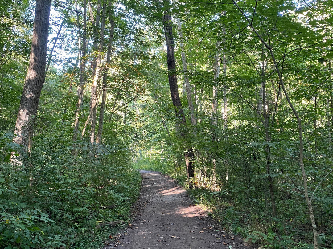 John Bryan State Park-Yellow Springs必去景点