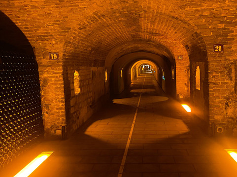 Instants - Exclusive Champagne Tours-兰斯必去景点