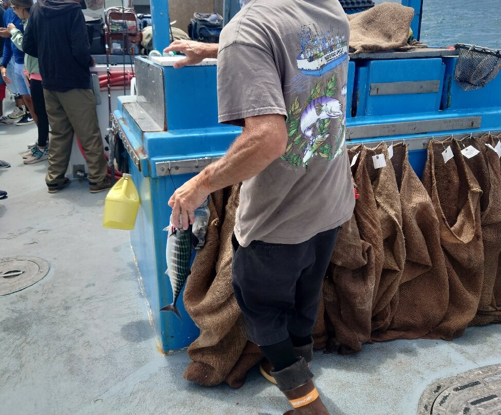 Redondo Beach Sportfishing-雷东多海滩必去景点
