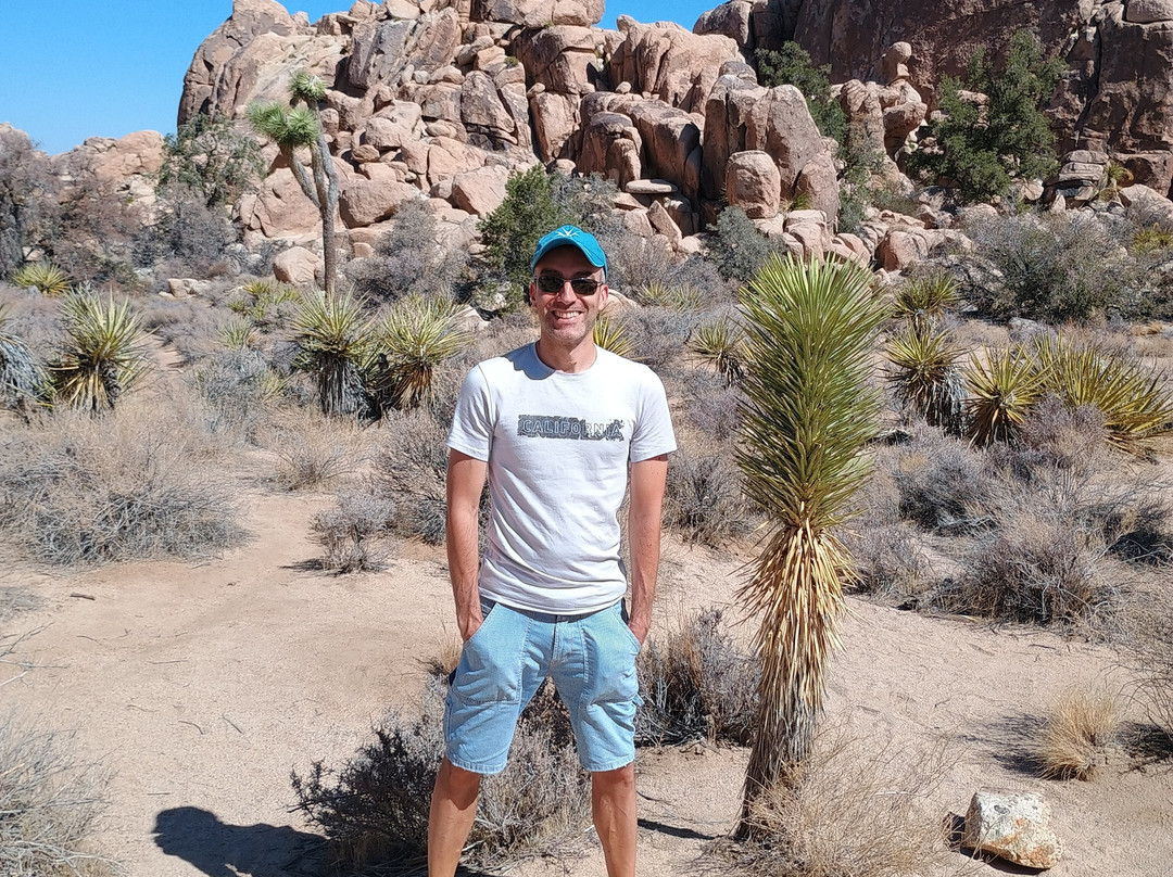 Adventure Hummer Tours and Events-棕榈沙漠必去景点