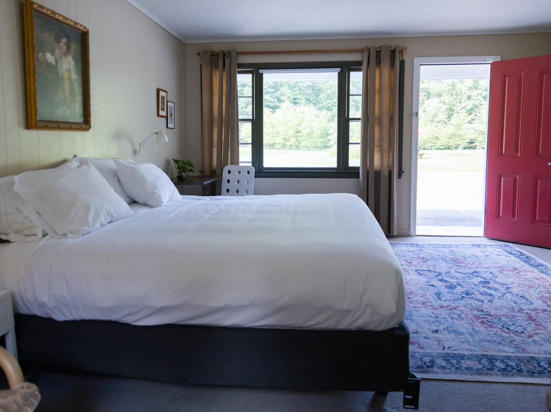 The Little Lion主图