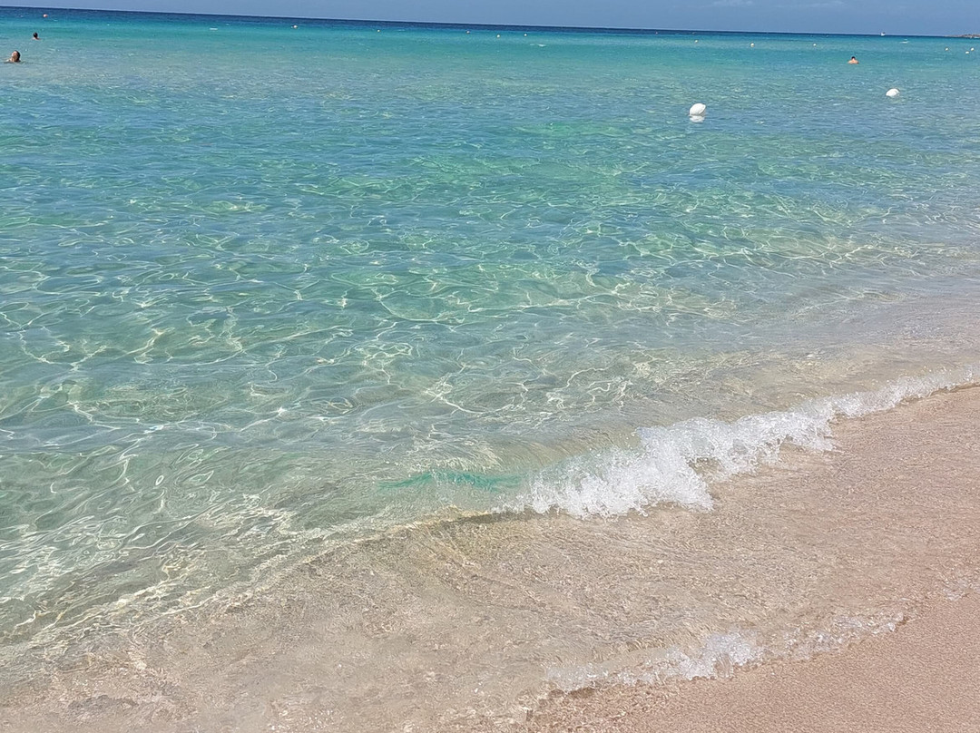 Punta Prosciutto-切萨雷奥港必去景点