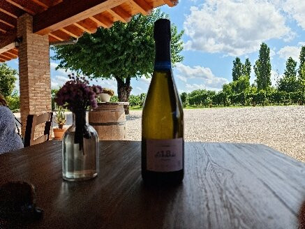 Cascina Maddalena-锡尔苗内必去景点