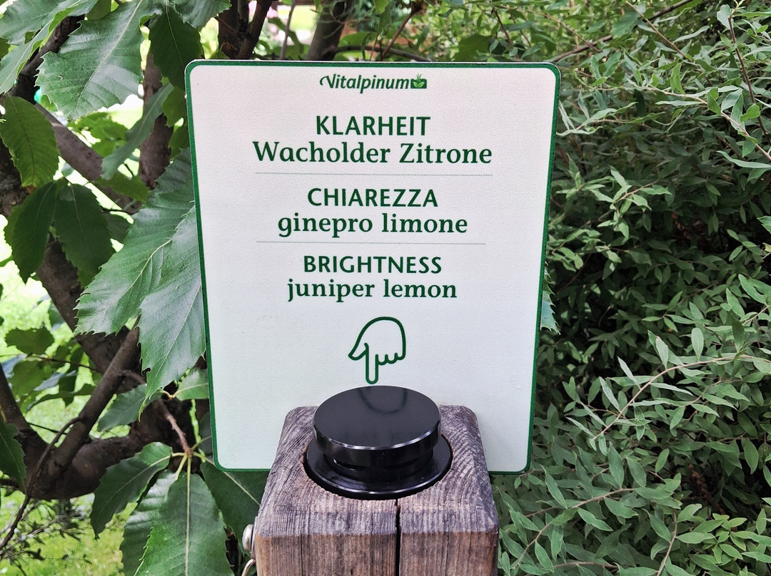 Vitalpinum-Assling必去景点