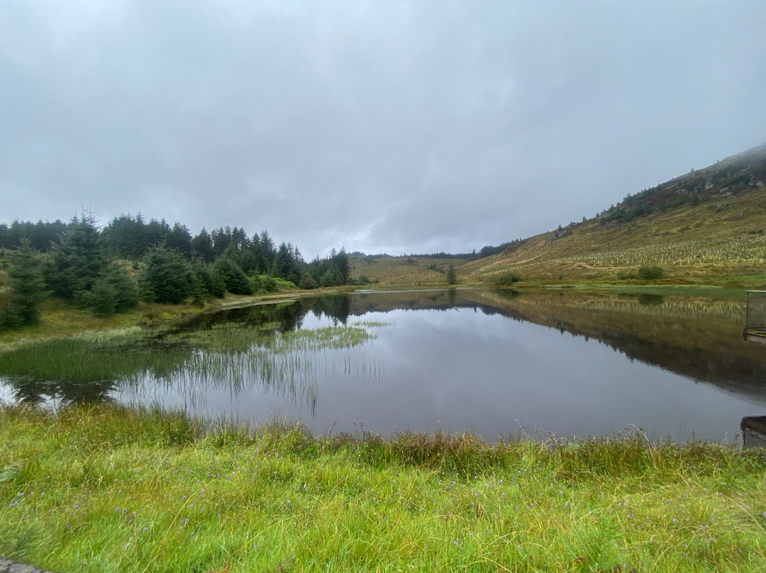 Kilfinan Community Forest-Tighnabruaich必去景点