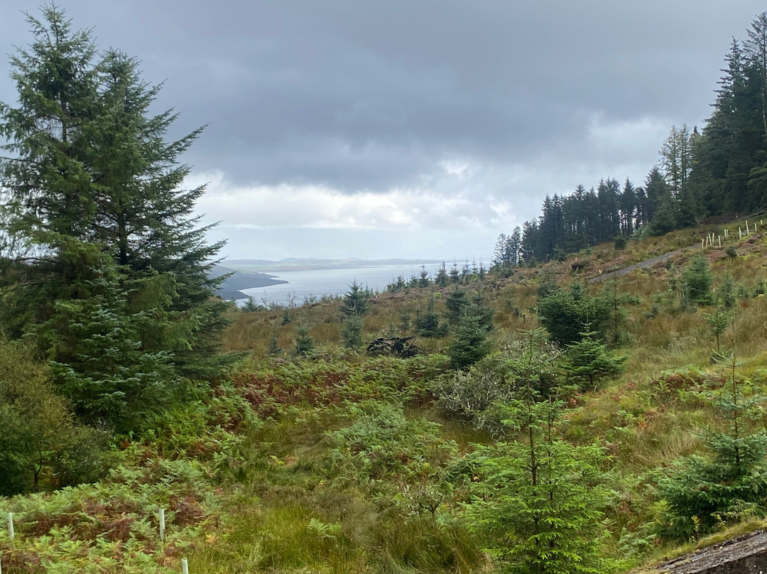 Kilfinan Community Forest