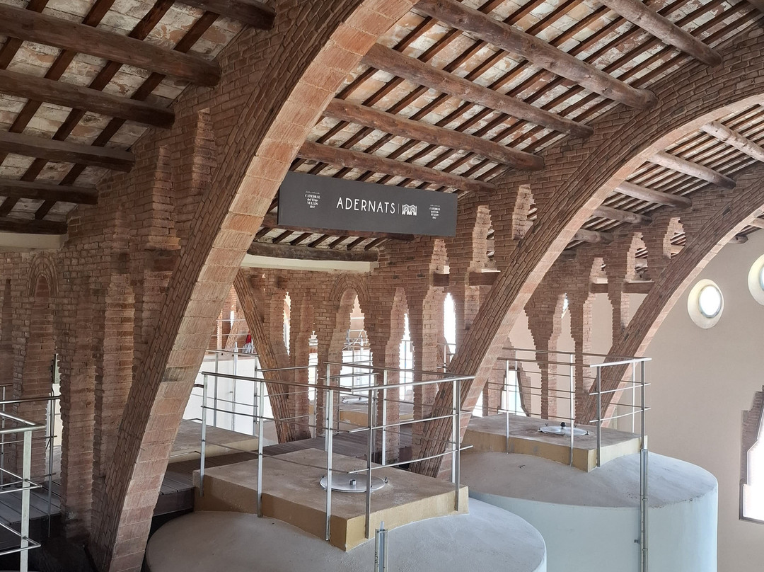 Adernats - Winery of Nulles-Nulles必去景点